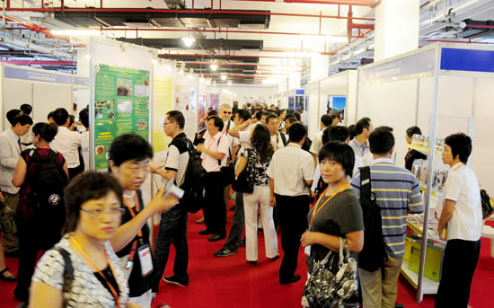 圖片關(guān)鍵詞 圖片關(guān)鍵詞