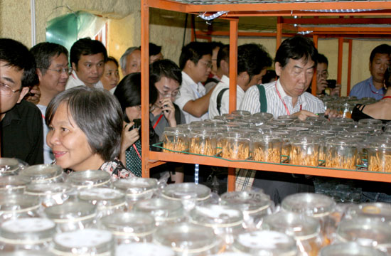 圖片關鍵詞 圖片關鍵詞