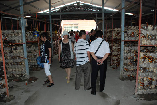 圖片關(guān)鍵詞 圖片關(guān)鍵詞