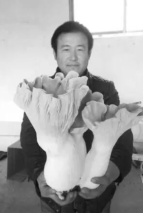 圖片關鍵詞 圖片關鍵詞