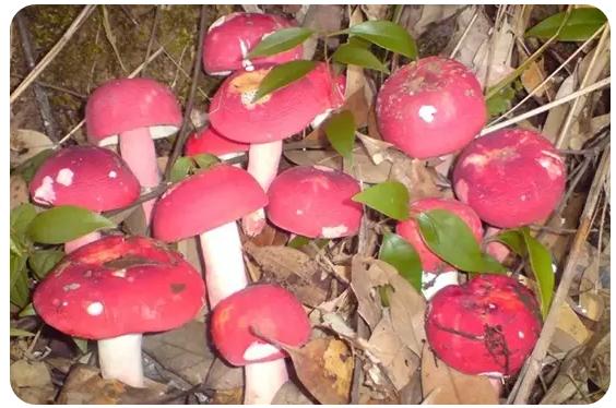 圖片關(guān)鍵詞 圖片關(guān)鍵詞