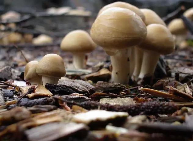 圖片關鍵詞 圖片關鍵詞