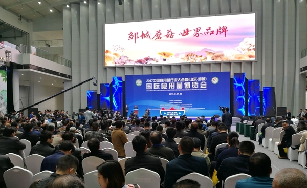 點擊打開原圖 QQ截圖20170410090014