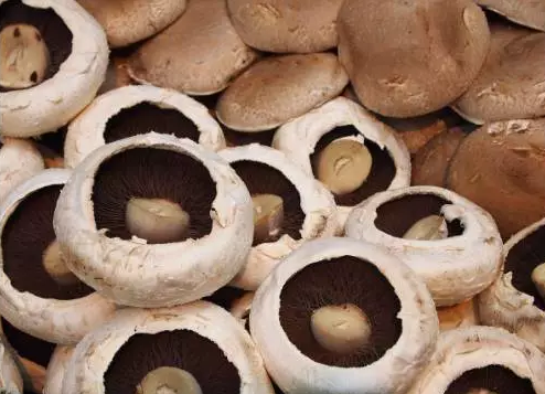 圖片關鍵詞 http://m.bjchsi.com.cn/ewebeditor/uploadfile/20170914091257506001.png