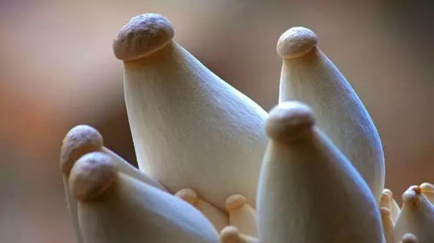 圖片關鍵詞 http://m.bjchsi.com.cn/ewebeditor/uploadfile/20170914091357269001.png