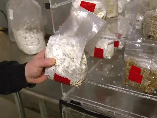 圖片關鍵詞 圖片關鍵詞