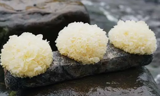 圖片關(guān)鍵詞 http://m.bjchsi.com.cn/ewebeditor/uploadfile/20180328092751720001.png