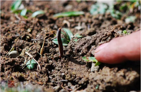 圖片關(guān)鍵詞 http://m.bjchsi.com.cn/ewebeditor/uploadfile/20180921101313325001.png