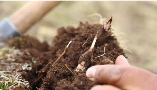 圖片關(guān)鍵詞 http://m.bjchsi.com.cn/ewebeditor/uploadfile/20180921101228689001.png