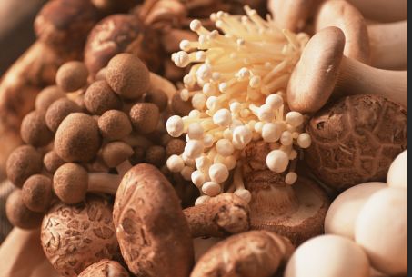 圖片關(guān)鍵詞 圖片關(guān)鍵詞