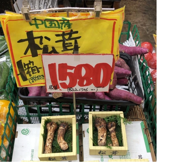 圖片關鍵詞 圖片關鍵詞