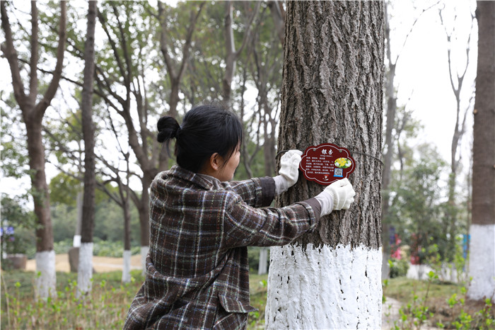 圖片關鍵詞 圖片關鍵詞