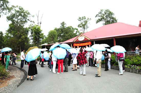 圖片關鍵詞 圖片關鍵詞