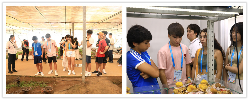 圖片關鍵詞 圖片關鍵詞