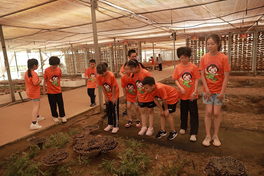 圖片關鍵詞 圖片關鍵詞