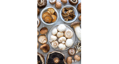 行業(yè)動(dòng)態(tài)