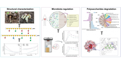 行業(yè)動(dòng)態(tài)